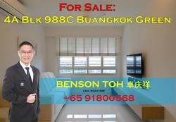 buangkok-green photo thumbnail #14